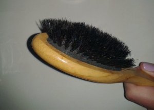 1601460_237692346421899_6183375988128431652_n