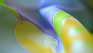 kredenc_selyemkendo2